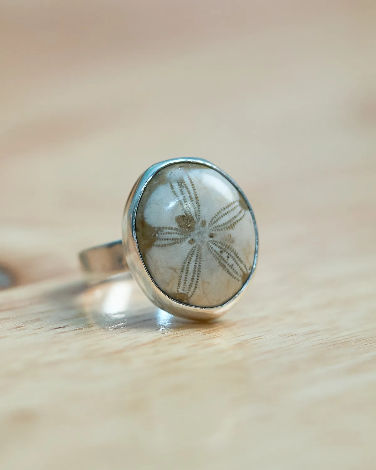 Cabochon Sand Dollar Fossil Silver Ring alternate view