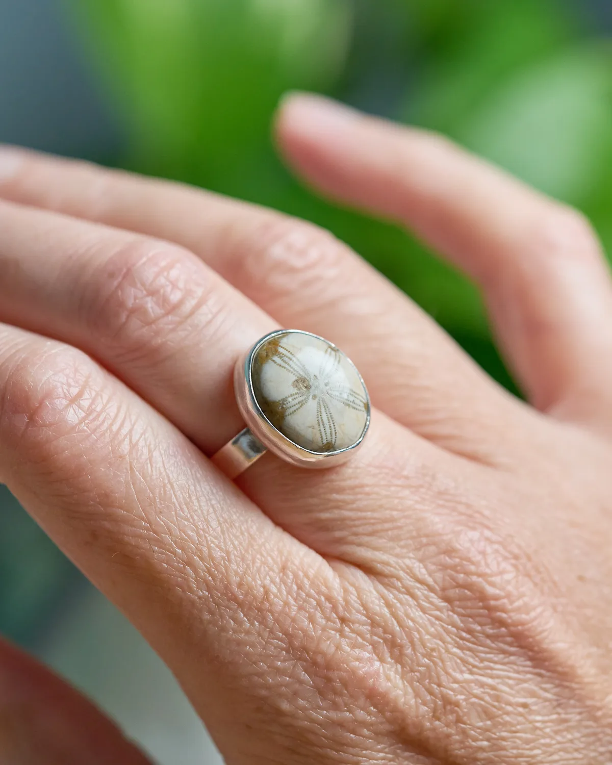 Cabochon Sand Dollar Fossil Silver Ring